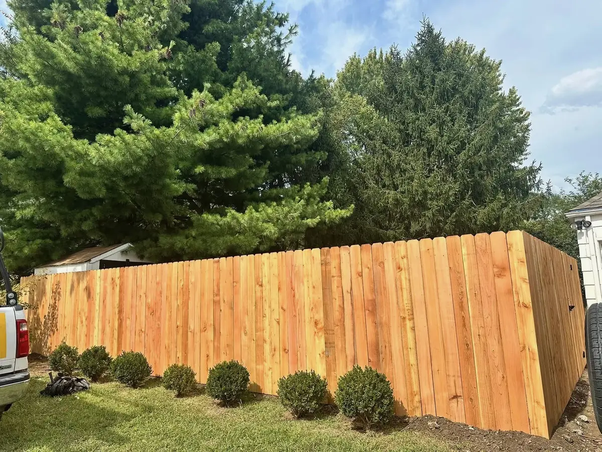 Tall cedar board-on-board privacy fence with freshly trimmed boxwood hedge — Parkville MO