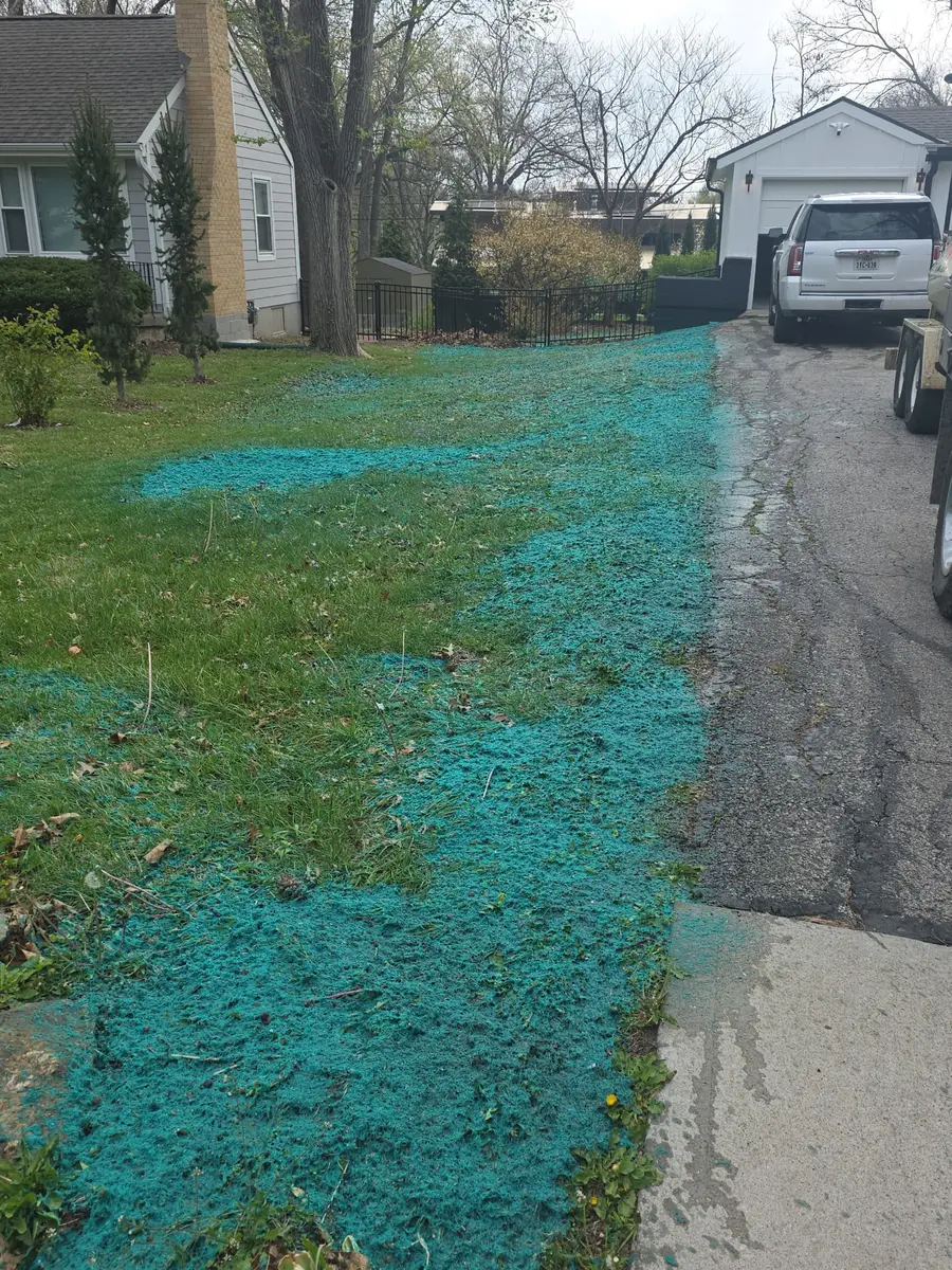 Hydroseeding application with teal slurry coating bare front lawn strip — Kansas City MO Northland