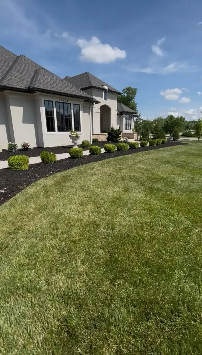 Manicured luxury home front yard with trimmed boxwood shrubs and fresh black mulch beds — landscaping in Smithville MO