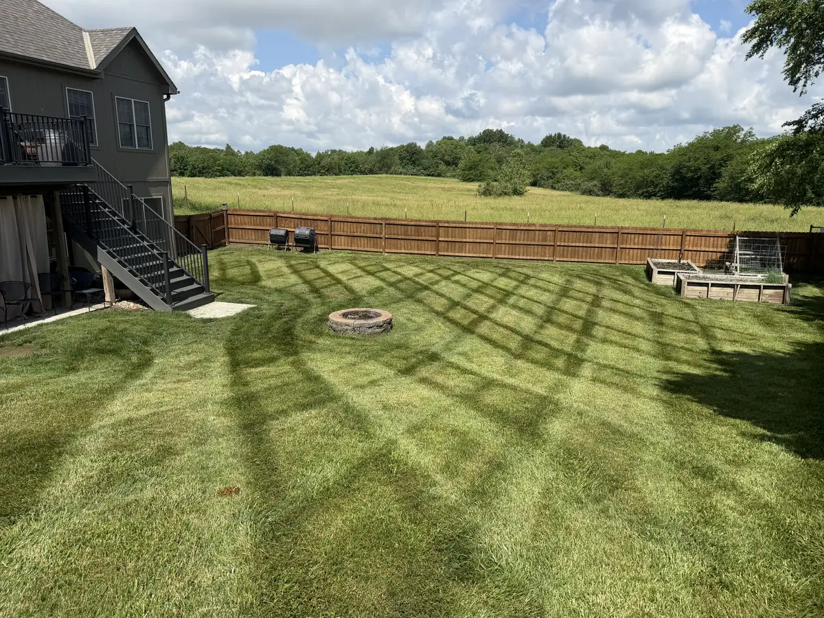 Diamond-striped backyard lawn with stone fire pit and cedar privacy fence — Kearney MO