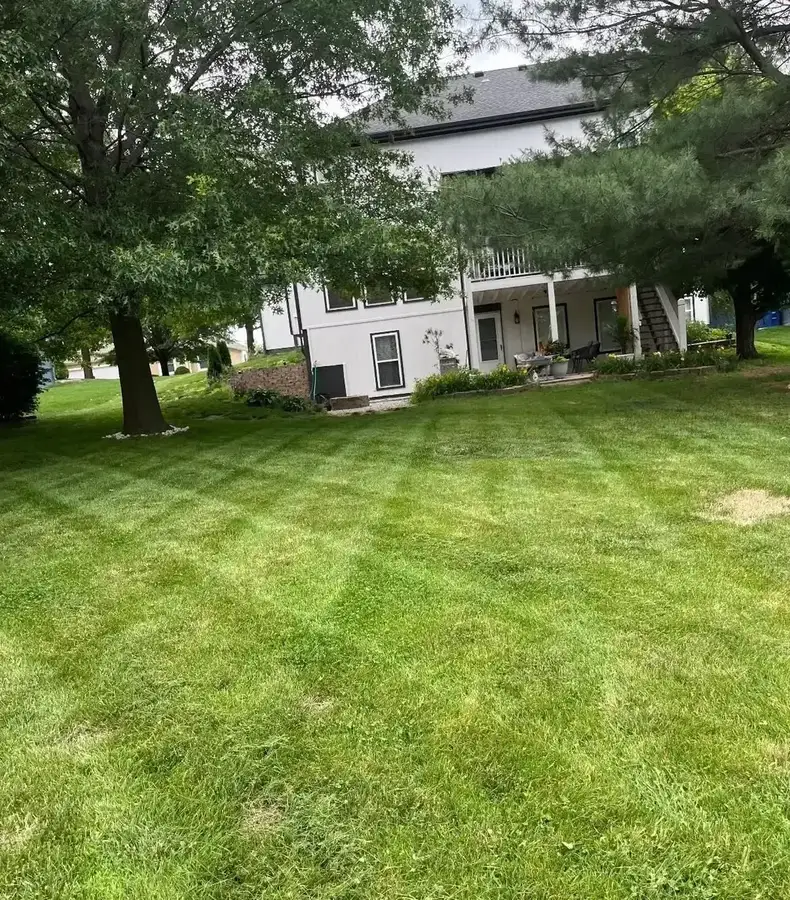 Manicured backyard lawn with mowing stripes under large shade trees — GC Signature Outdoors Smithville MO
